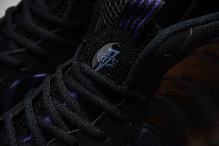 nike air foamposite one authracite eggplant 314996-008