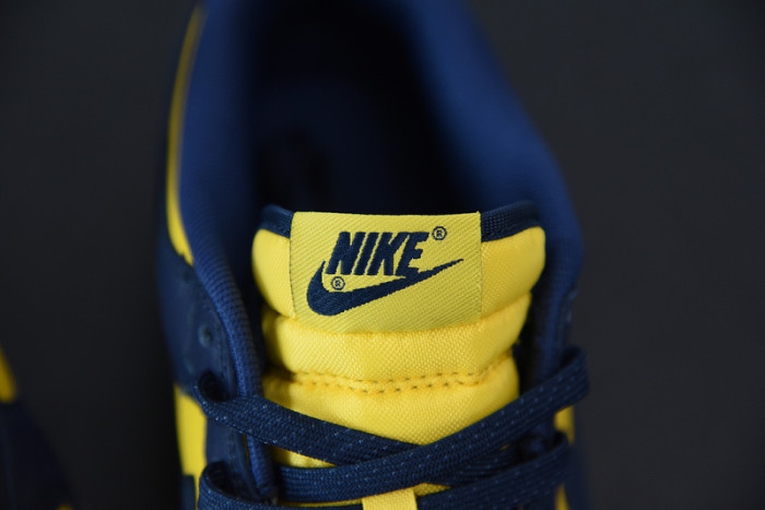 nike dunk low “michigan” dd1391-700