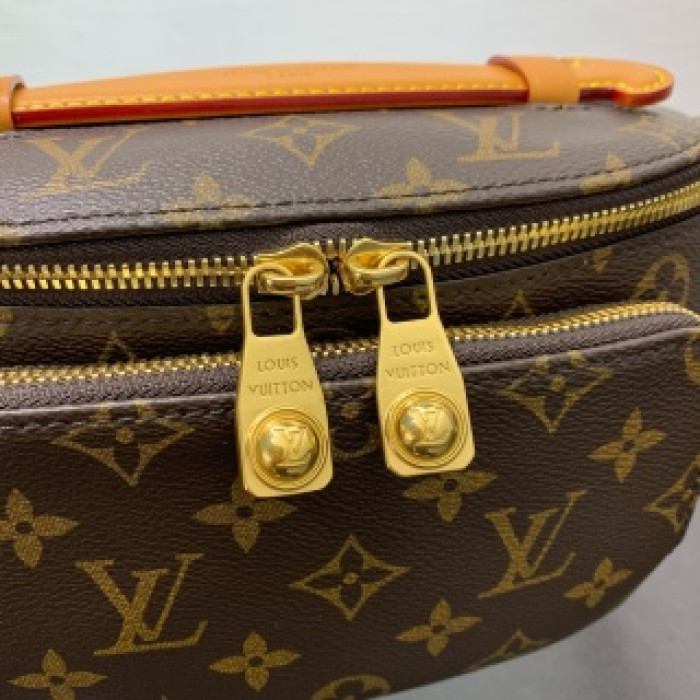 Louis Vuitton LV Monogram Brown Rush Bumbag M14019LV