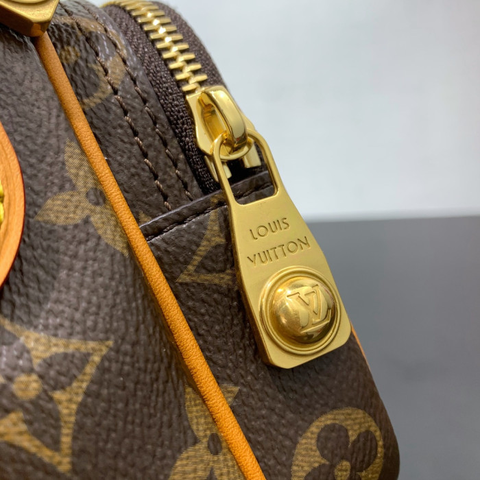 Louis Vuitton LV Monogram Brown bag M14016