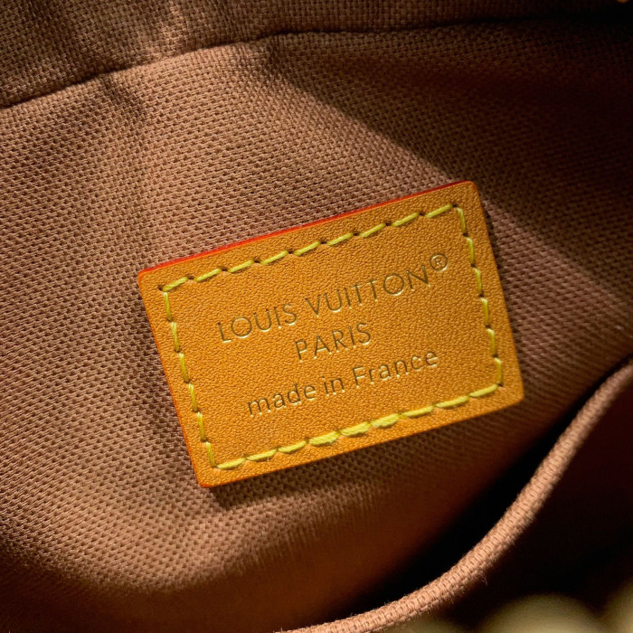 Louis Vuitton LV Monogram Brown Danube Cross-body bag M14013